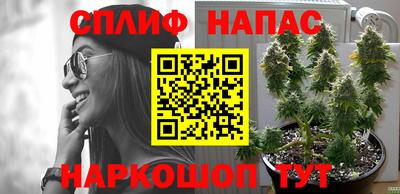 МДПВ Татарск