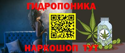 эйфоретик Тверь