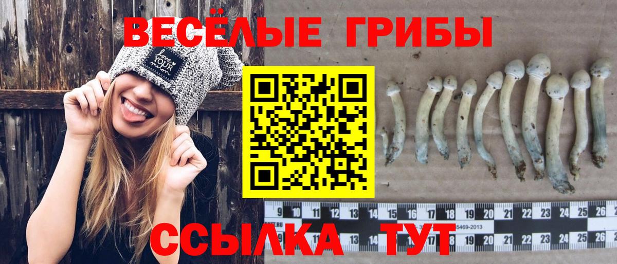 Псилоцибиновые грибы ЛСД Мирный